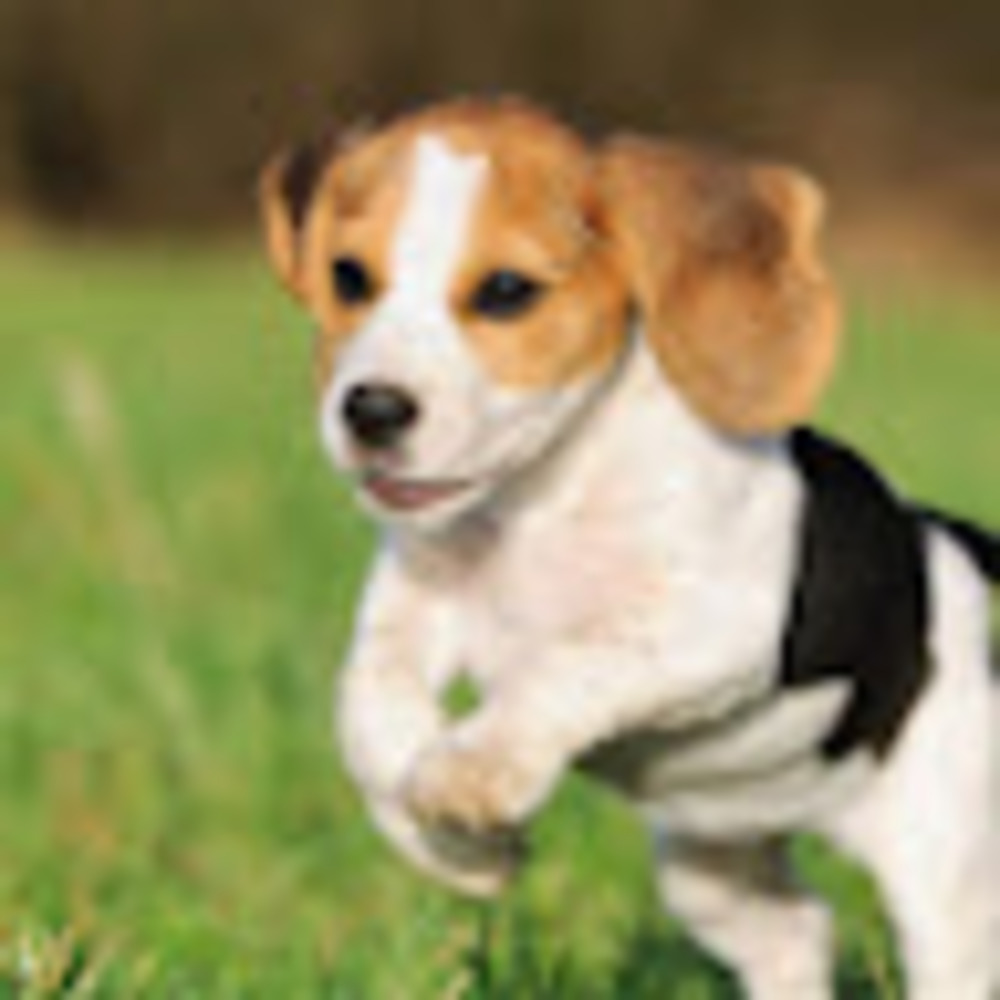 Meet your Posher, Sherry